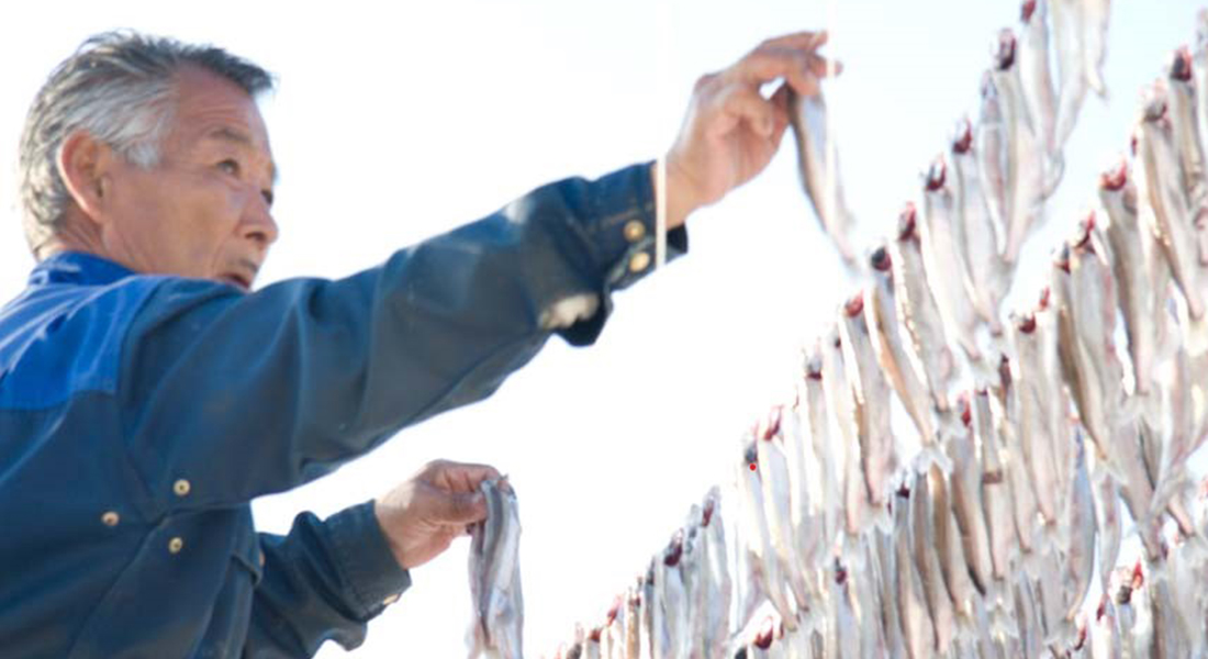 A person is hanging fish to dry on a line.
