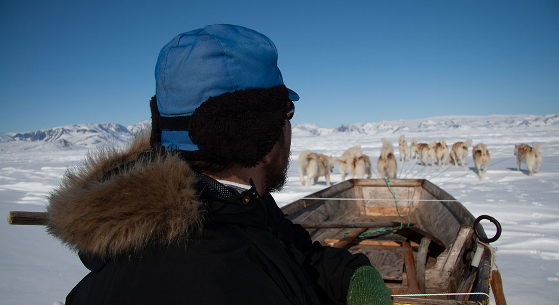 A person is looking at the dogs dragging along a dog sleigh across the snow and ice in Greenland.